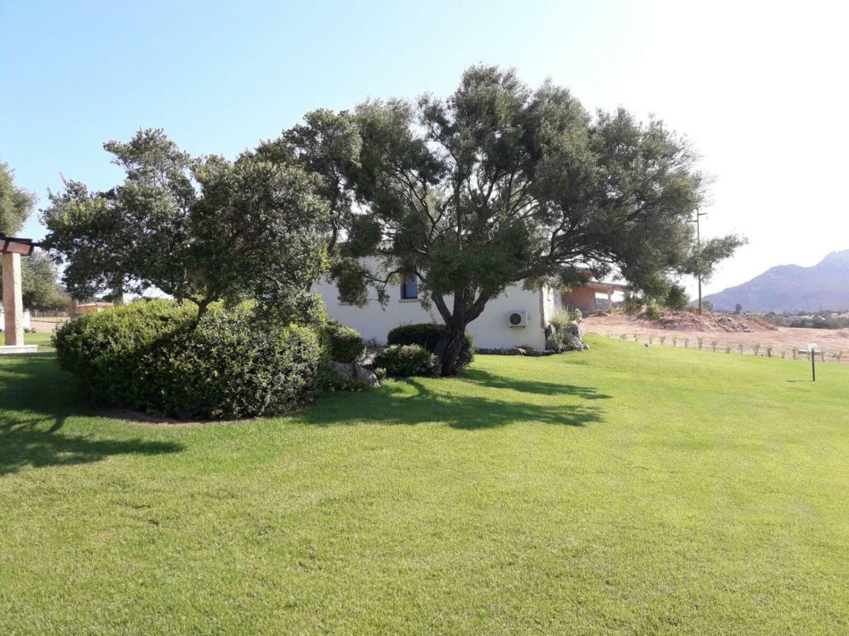 B&B Majore Olbia Exterior foto
