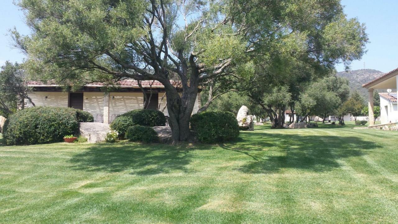 B&B Majore Olbia Exterior foto