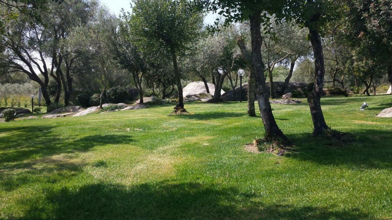 B&B Majore Olbia Exterior foto